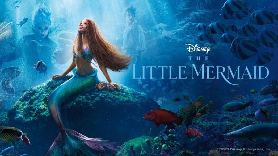 LITTLE MERMAID