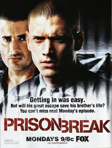 PRISON BREAK (1-20)